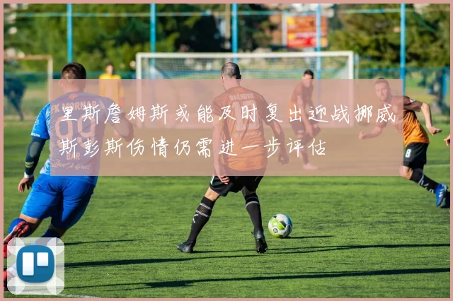 里斯詹姆斯或能及时复出迎战挪威斯彭斯伤情仍需进一步评估